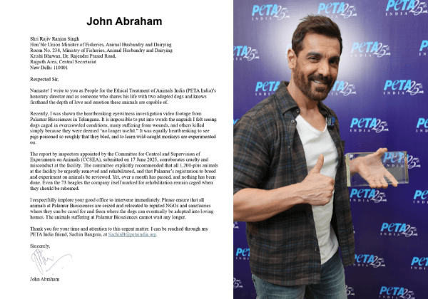Dog Dad John Abraham Urges Union Cabinet Minister to Urgently Rescue More Than 1200 Beagles and Other Animals from Palamur Biosciences