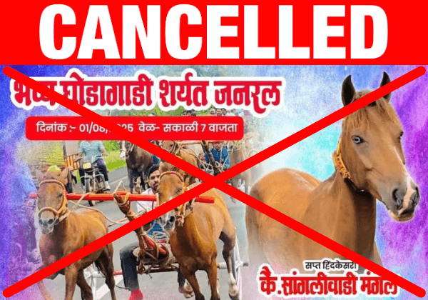PETA इंडिया की शिकायत के बाद सांगली में अवैध घोड़ा-बग्गी दौड़ को रोका गया