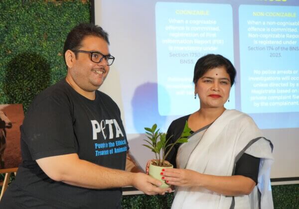 PETA इंडिया ने मुम्बई में अनोखी कार्यशाला आयोजित कर 150 से अधिक प्रतिभागियों को पशुओं पर होने वाले अपराधों के विरुद्ध जागरूक किया। पूर्व सांसद पूनम महाजन मुख्य अतिथि के रूप में हुईं शामिल