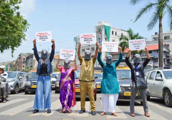 PETA इंडिया के प्रदर्शन में, मुंबई के कबूतर अन्य मुंबई वासियों से दया की अपील कर रहे हैं।