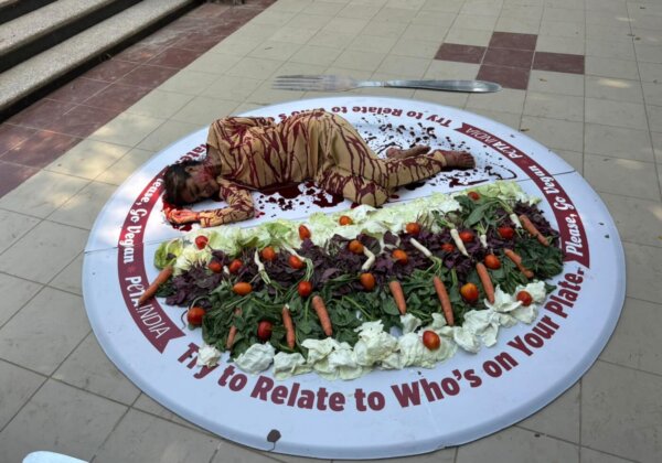 ‘Bloodied’ Woman ‘Served’ on a Plate Urges People to Go Vegan Ahead of Vegetarian Awareness Month