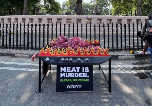‘Charred’ Human ‘Barbecued’ Ahead of World Food Day