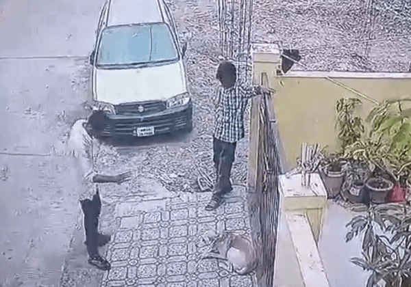 Indore Rural Police Register FIR for Cruel Capture and Relocation of Over Forty Dogs from a Residential Colony, Following PETA India Intervention