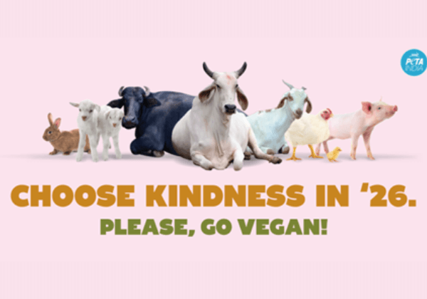 Animals Urge ‘Choose Kindness in ’26’ in New Year PETA India Pro-Vegan Campaign