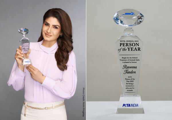 Actor and Animal Advocate Raveena Tandon Named PETA India’s 2025 Person of the Year