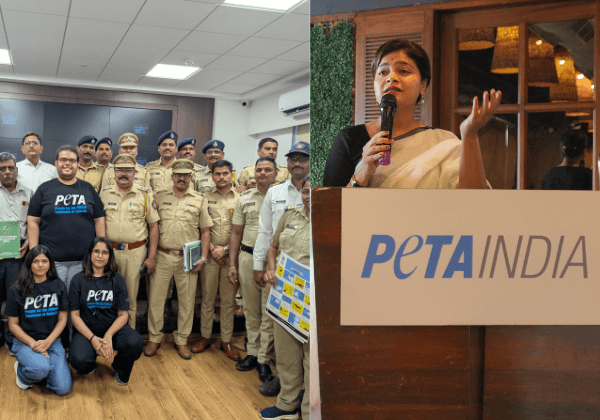 PETA India’s Cruelty Response Teams’ Top 10 Lifesaving Actions in 2025