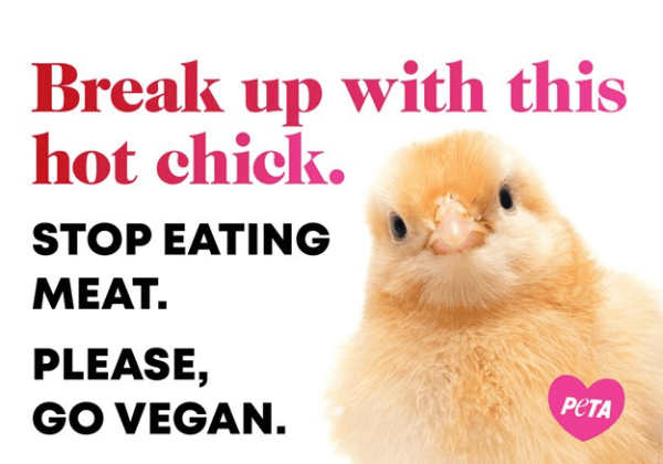 PETA इंडिया का वैलेंटाइन डे अभियान: छात्रों से अपील – ‘हॉट चिक’ से ब्रेकअप करें