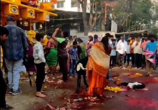 FIR Registered Against Illegal Sacrifice of Goats and Chickens at Shri Anjaneya Swamy Temple, Bengaluru Following PETA India Intervention