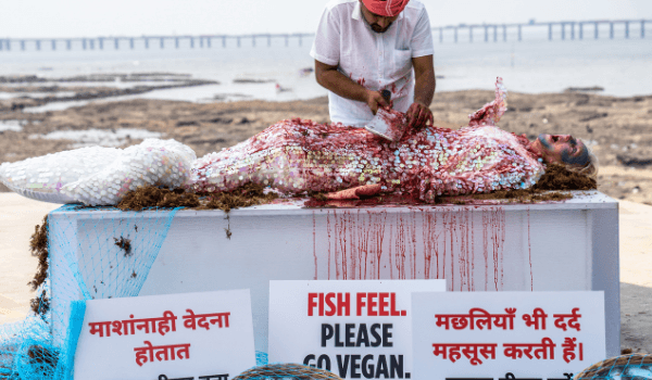 मछलियों के दर्द का अहसास कराने के लिए मुंबई में PETA की वैश्विक संस्थापक को बर्फ की सिल्ली पर ‘काटा गया’