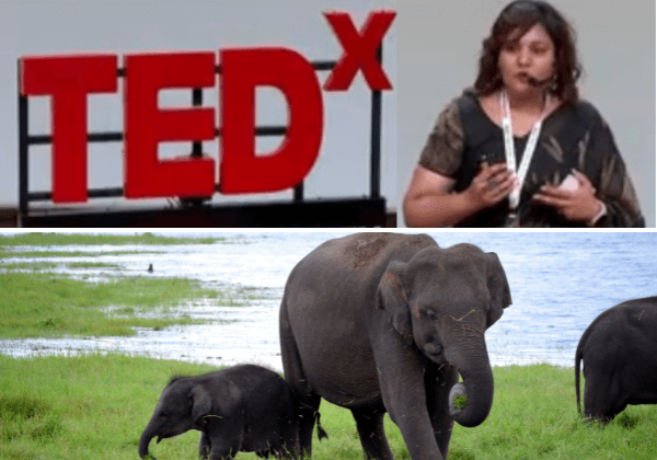 TEDx Talk By PETA India Vice President of Policy, Khushboo Gupta, on How Compassion and Technology Can Transform Tradition and Save Animals