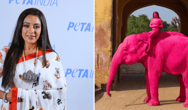 ‘अनुपमा’ स्टार और PETA इंडिया समर्थक रूपाली गांगुली ने प्रधानमंत्री मोदी जी से हाथी सवारी बंद करने की अपील की, ‘पिंक’ हाथी चंचल की मौत