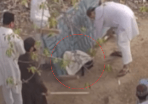 FIR Registered Against Group of Men for Beating a Puppy to Death ...