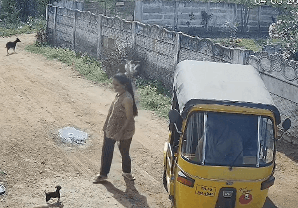 त्रिची में कुत्ते के छोटे बच्चों को मारने और नुकसान पहुँचाने वाली महिला के खिलाफ एफआईआर दर्ज