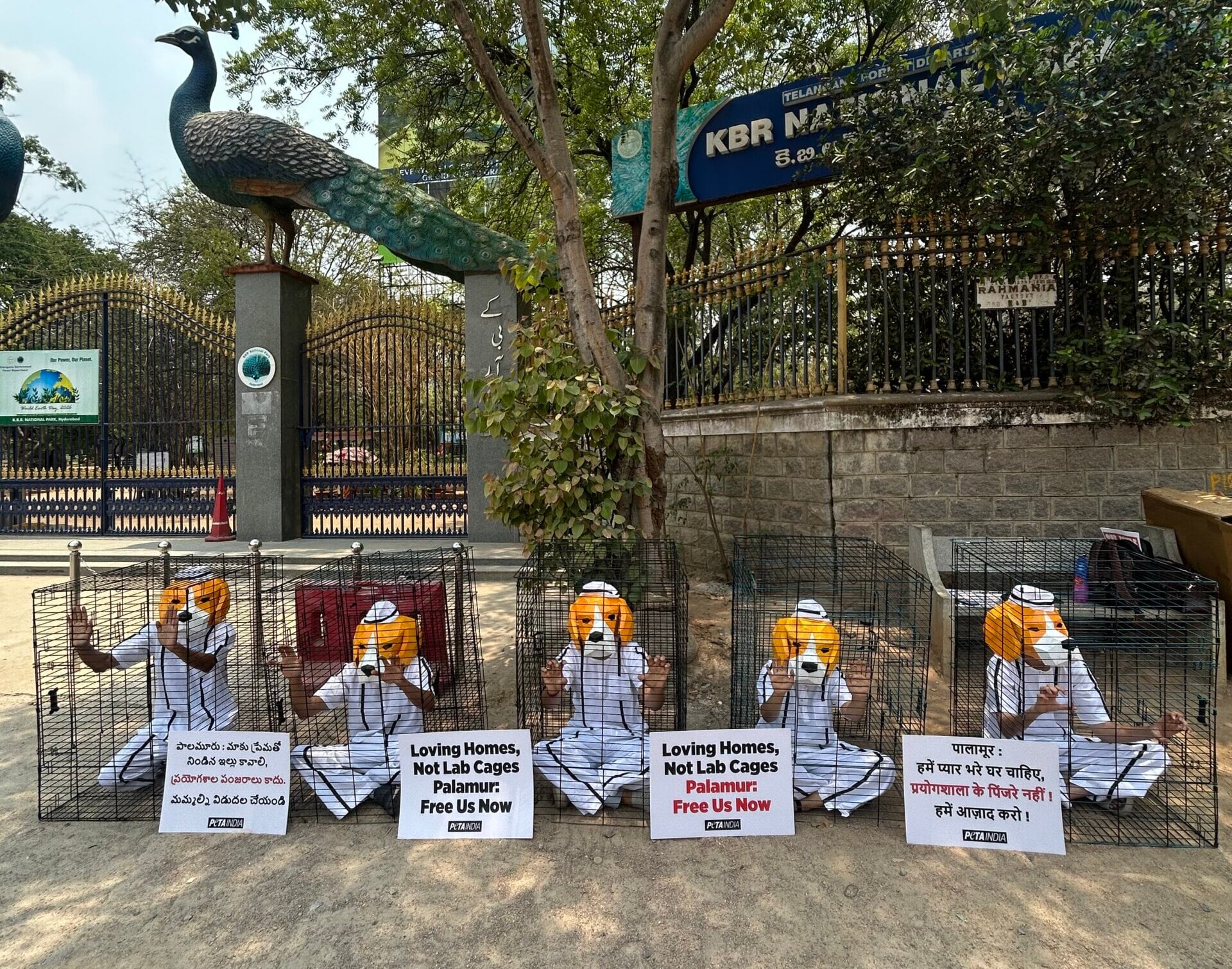 Caged ‘Beagles’ Make Plea for Animals Imprisoned at Palamur Biosciences ...