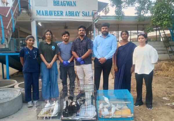 Fifteen Birds Seized From P.C. Sorcar and Dhaya’s International Magic Show, in Chennai, Following Joint Action by PFCI, PETA India & Others