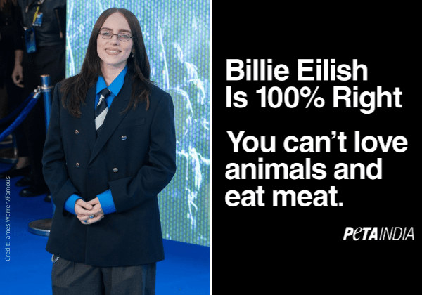 ‘Billie Eilish Is Right’: PETA India Backs Up American  Singer’s Vegan Appeal With Billboards Outside Colleges And Universities