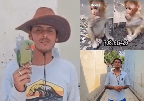 FIR Registered Against Ludhiana Man for Illegal Wildlife Trade and Possession, Following PETA India Complaint