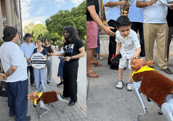 ‘Are You Wearing My Mother?’ PETA India’s New AI-Powered Robot Calf Confronts Chandigarh Shoppers Ahead of National Parents’ Day