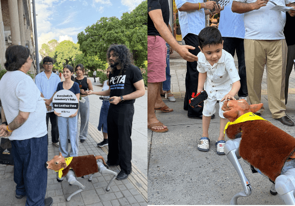 ‘क्या आपने मेरी माँ को पहना है?’ नेशनल पेरेंट्स डे से पहले PETA इंडिया के रोबोट बछड़े ने चंडीगढ़ में खरीदरों से मासूम सवाल किया