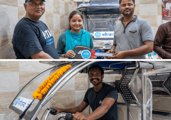 Shahdara Timber Market Declared Animal Cart-Free as Final Ten Former Cart Owners Join PETA India’s Delhi Mechanisation Project