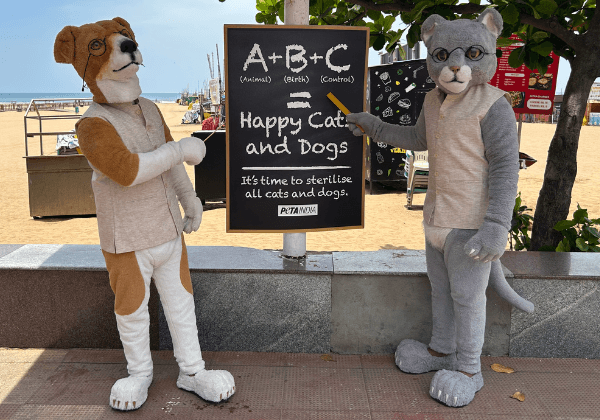 Giant ‘Cat’ and ‘Dog’ Mark International Homeless Animals’ Day with Lesson on ABCs: Animal Birth Control