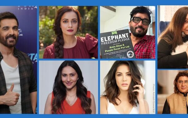 John Abraham, Pooja Bhatt, Dia Mirza, Sunny Leone, Rajan Shahi and Others Challenge Industry Friends to Take PETA India’s Elephant Freedom Pledge Ahead of World Elephant Day