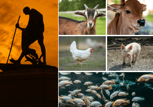 Ahead of Gandhi Jayanti and Following Devastating Floods, PETA India Calls for Nationwide Ban on Meat Ads