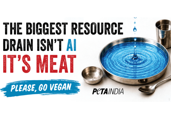 AI को लेकर चिंताओं के बीच, PETA इंडिया के बेंगलुरु बिलबोर्ड अभियान का संदेश: मांस उद्योग पर्यावरण और पशुओं के लिए कहीं ज़्यादा खतरनाक है