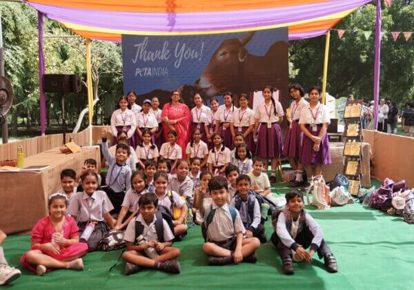 Young Visitors learn compassion towards animals with PETA India at Bookaroo Literature Festival, Delhi and Bhopal.