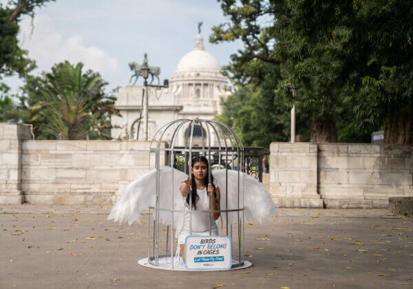 Actor Prantika Das Caged for PETA India in Plea to Let Birds Fly Free