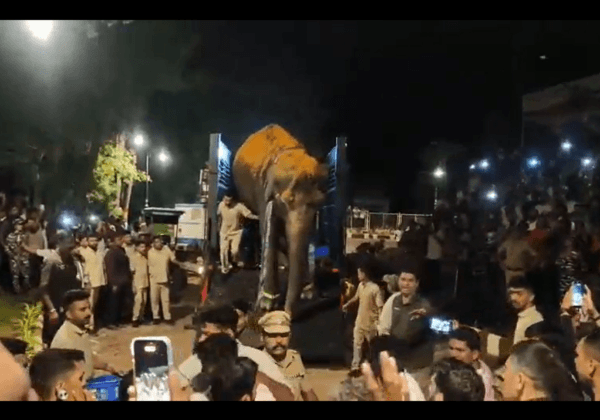 PETA India Moves Supreme Court to Restore Ailing Elephant Madhuri’s Rehabilitation at Vantara