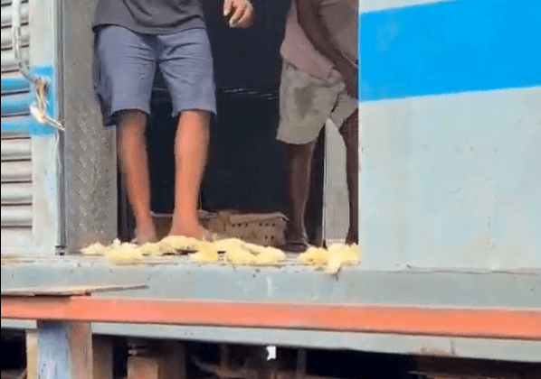 PETA इंडिया की शिकायत के बाद, गुवाहाटी में चूजों को लात मारकर रेलवे ट्रैक पर फेंकने और मरने के लिए छोड़ने के मामले में एफआईआर दर्ज