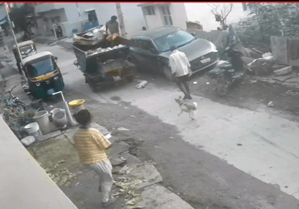 FIR Registered for Bengaluru Municipal Garbage Truck Running Over and Killing Dog, Following PETA India Intervention