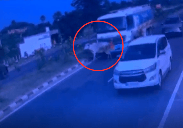 FIR Registered After Truck Driver Runs Over Cow in East Godavari, Following PETA India Intervention